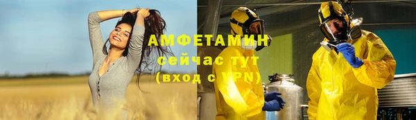 соль ск Абаза