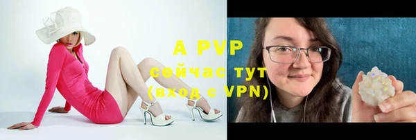 круглые Алексеевка