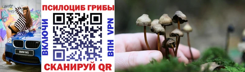 что такое   Карасук  Псилоцибиновые грибы GOLDEN TEACHER 