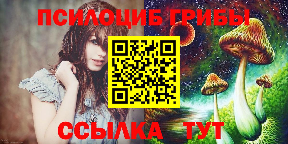 Псилоцибиновые грибы Psilocybe  Вход с VPN  Галлюциногенные грибы Cubensis  Карасук 