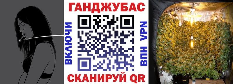Бошки марихуана индика  KRAKEN ONION  Карасук 